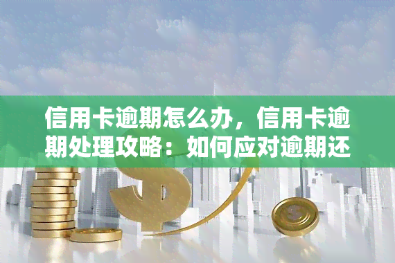 信用卡逾期怎么办，信用卡逾期处理攻略：如何应对逾期还款问题？