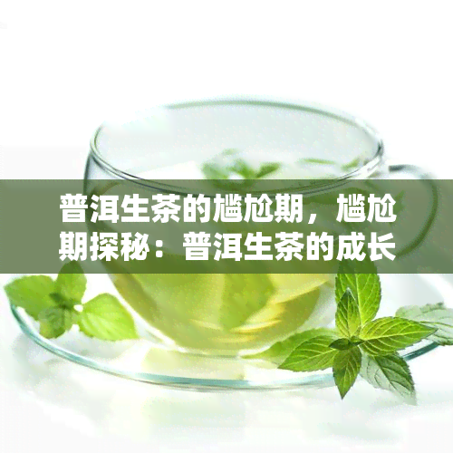 普洱生茶的尴尬期，尴尬期探秘：普洱生茶的成长与转变