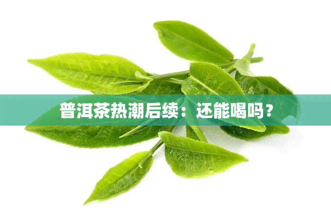 普洱茶热潮后续：还能喝吗？