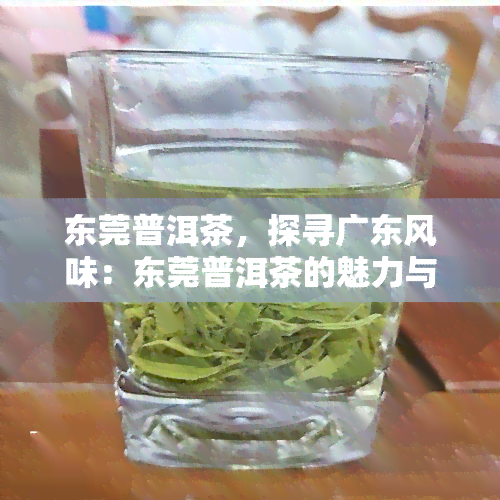 东莞普洱茶，探寻广东风味：东莞普洱茶的魅力与历