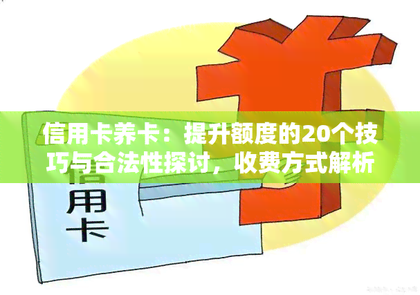 信用卡养卡：提升额度的20个技巧与合法性探讨，收费方式解析