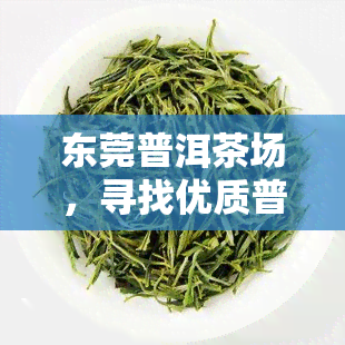 东莞普洱茶场，寻找优质普洱茶？来东莞普洱茶场！