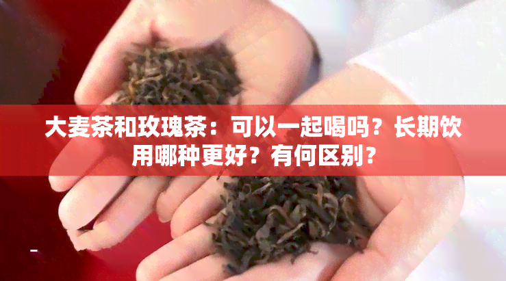 大麦茶和玫瑰茶：可以一起喝吗？长期饮用哪种更好？有何区别？