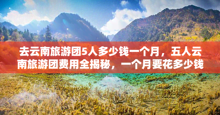 去云南旅游团5人多少钱一个月，五人云南旅游团费用全揭秘，一个月要花多少钱？