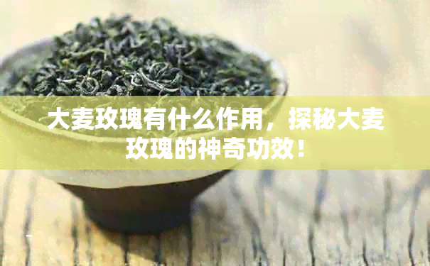 大麦玫瑰有什么作用，探秘大麦玫瑰的神奇功效！