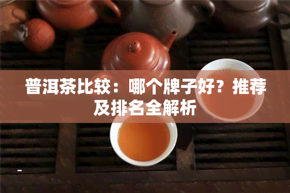 普洱茶比较：哪个牌子好？推荐及排名全解析