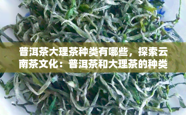 普洱茶大理茶种类有哪些，探索云南茶文化：普洱茶和大理茶的种类介绍