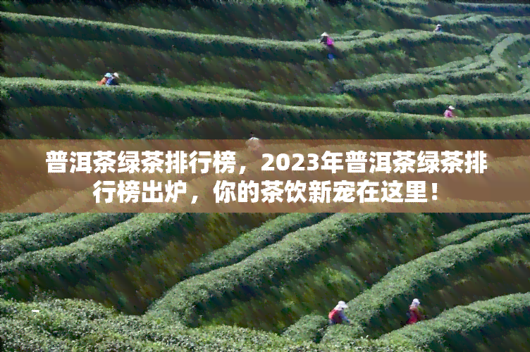 普洱茶绿茶排行榜，2023年普洱茶绿茶排行榜出炉，你的茶饮新宠在这里！