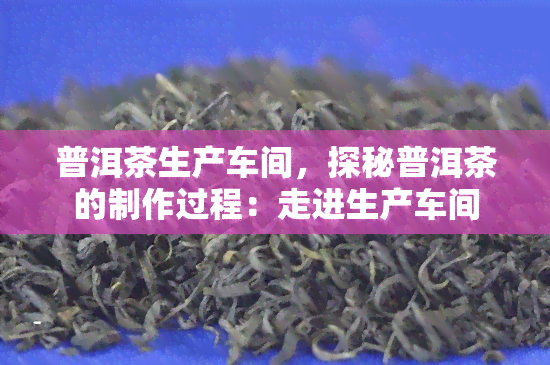 普洱茶生产车间，探秘普洱茶的制作过程：走进生产车间