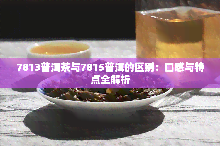 7813普洱茶与7815普洱的区别：口感与特点全解析