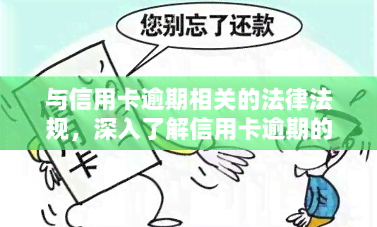 与信用卡逾期相关的法律法规，深入了解信用卡逾期的法律风险和责任