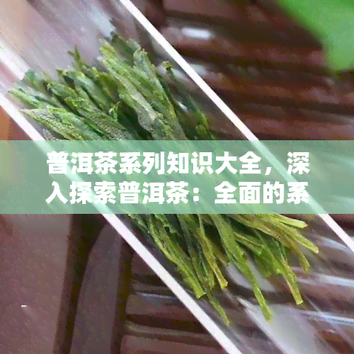 普洱茶系列知识大全，深入探索普洱茶：全面的系列知识大全