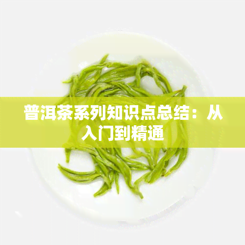 普洱茶系列知识点总结：从入门到精通