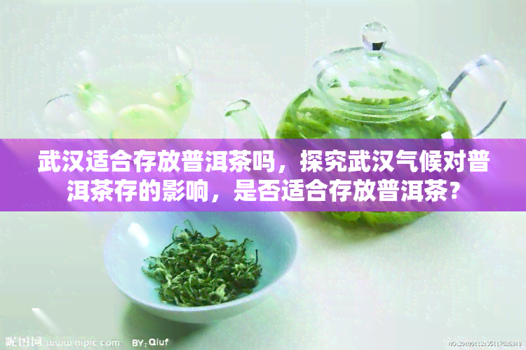 武汉适合存放普洱茶吗，探究武汉气候对普洱茶存的影响，是否适合存放普洱茶？