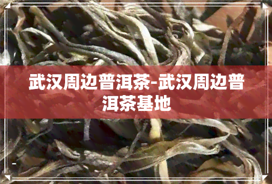 武汉周边普洱茶-武汉周边普洱茶基地