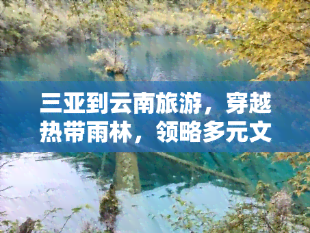 三亚到云南旅游，穿越热带雨林，领略多元文化——三亚至云南深度游攻略