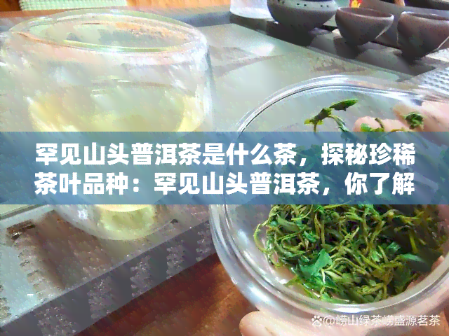 罕见山头普洱茶是什么茶，探秘珍稀茶叶品种：罕见山头普洱茶，你了解吗？