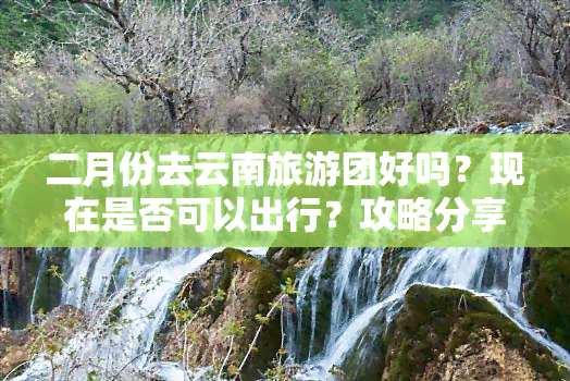 二月份去云南旅游团好吗？现在是否可以出行？攻略分享