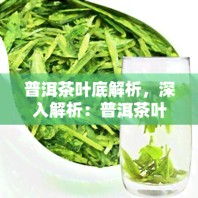 普洱茶叶底解析，深入解析：普洱茶叶底的奥秘与品质评估