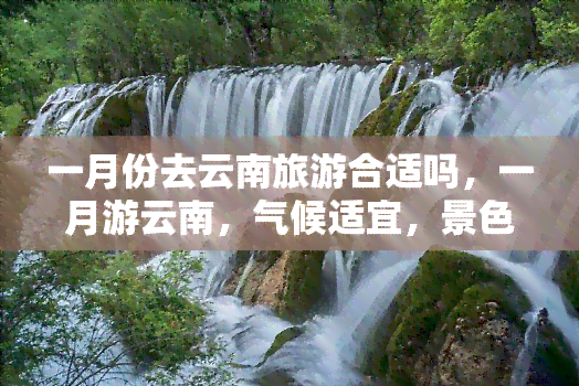 一月份去云南旅游合适吗，一月游云南，气候适宜，景色宜人