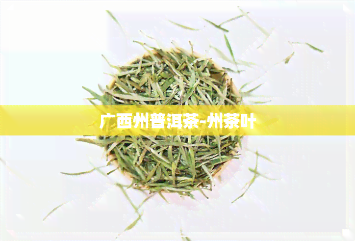 广西州普洱茶-州茶叶