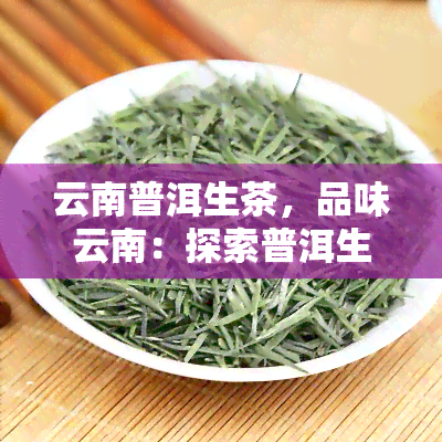 云南普洱生茶，品味云南：探索普洱生茶的魅力