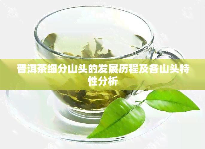 普洱茶细分山头的发展历程及各山头特性分析