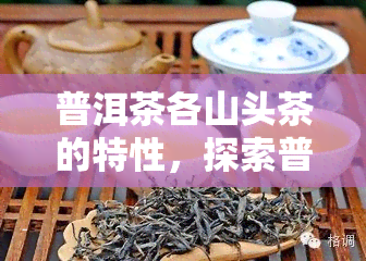 普洱茶各山头茶的特性，探索普洱茶的魅力：各山头茶的独特特性