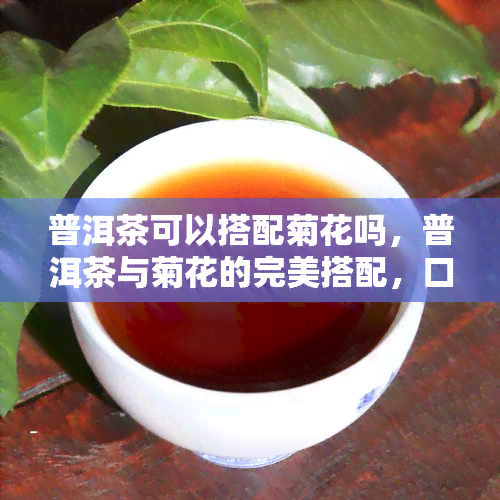 普洱茶可以搭配菊花吗，普洱茶与菊花的完美搭配，口感更上一层楼！