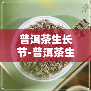 普洱茶生长节-普洱茶生长节是几月份