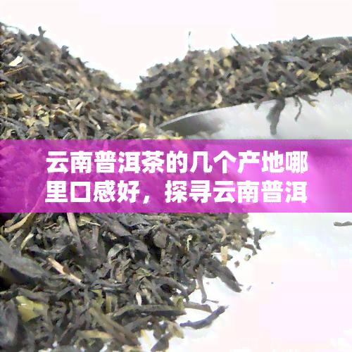 云南普洱茶的几个产地哪里口感好，探寻云南普洱茶的美味：几个主要产地口感解析