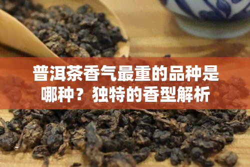 普洱茶香气最重的品种是哪种？独特的香型解析