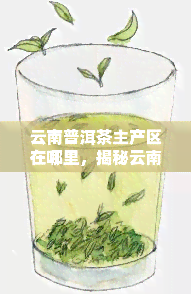 云南普洱茶主产区在哪里，揭秘云南普洱茶的主产区在哪里