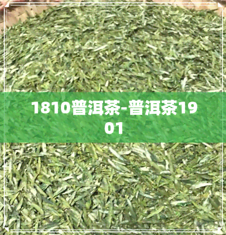 1810普洱茶-普洱茶1901