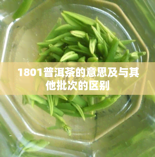 1801普洱茶的意思及与其他批次的区别