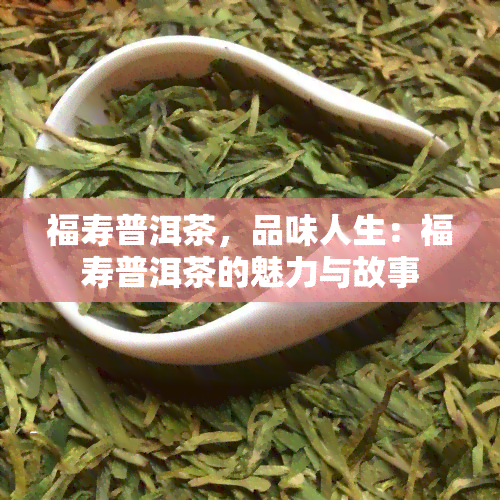 福寿普洱茶，品味人生：福寿普洱茶的魅力与故事