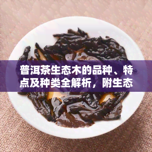 普洱茶生态木的品种、特点及种类全解析，附生态普洱茶树管理与介绍