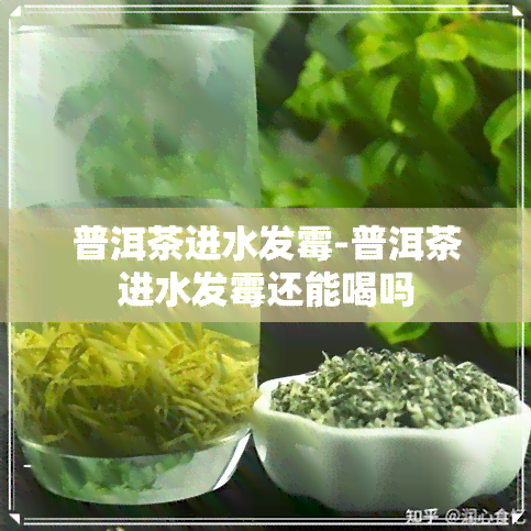 普洱茶进水发霉-普洱茶进水发霉还能喝吗