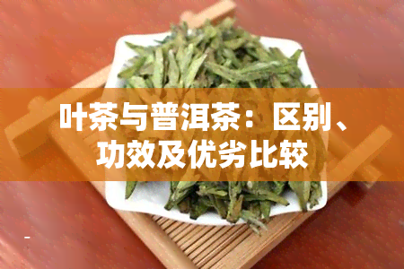 叶茶与普洱茶：区别、功效及优劣比较