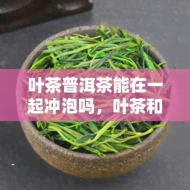 叶茶普洱茶能在一起冲泡吗，叶茶和普洱茶可以一起冲泡吗？