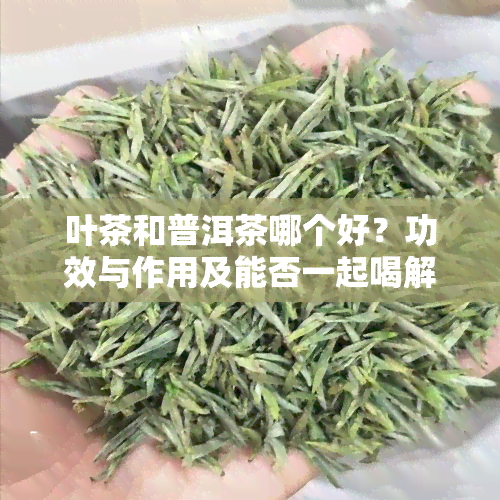 叶茶和普洱茶哪个好？功效与作用及能否一起喝解析