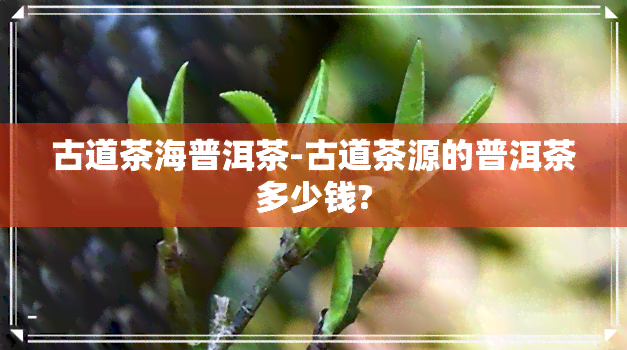 古道茶海普洱茶-古道茶源的普洱茶多少钱?