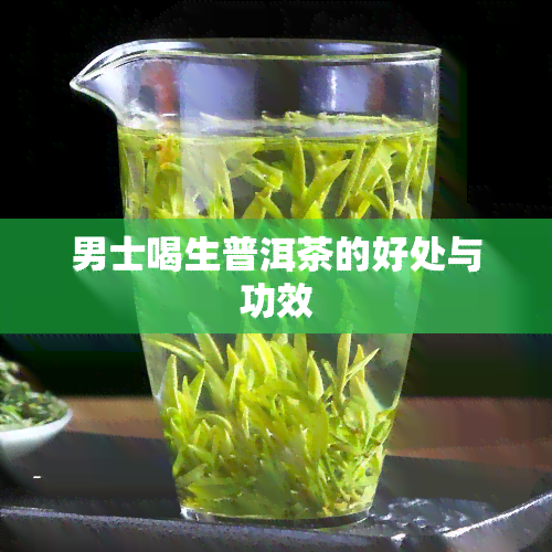 男士喝生普洱茶的好处与功效