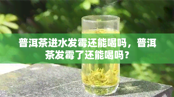 普洱茶进水发霉还能喝吗，普洱茶发霉了还能喝吗？