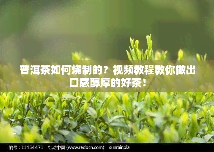 普洱茶如何烧制的？视频教程教你做出口感醇厚的好茶！