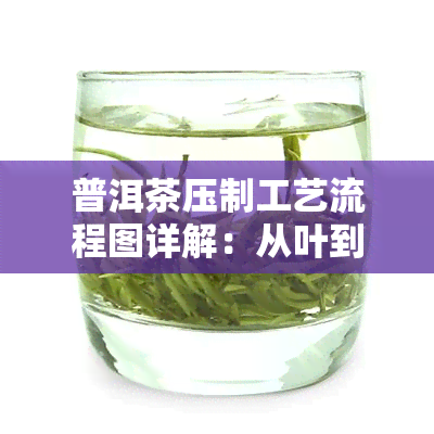 普洱茶压制工艺流程图详解：从叶到成品的全过程