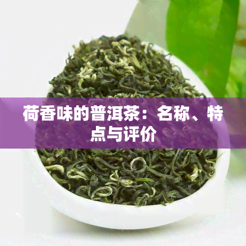 荷香味的普洱茶：名称、特点与评价