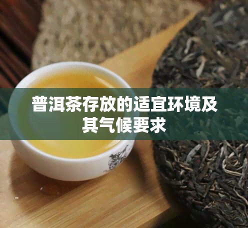 普洱茶存放的适宜环境及其气候要求