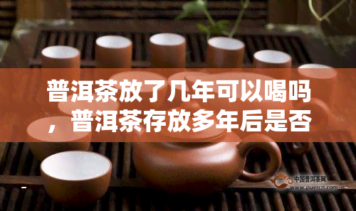 普洱茶放了几年可以喝吗，普洱茶存放多年后是否还能饮用？