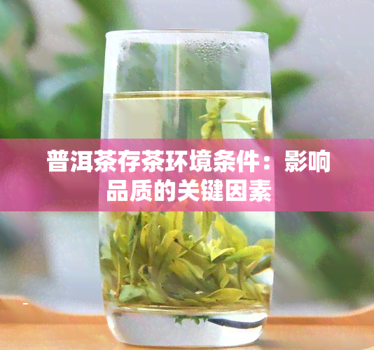 普洱茶存茶环境条件：影响品质的关键因素